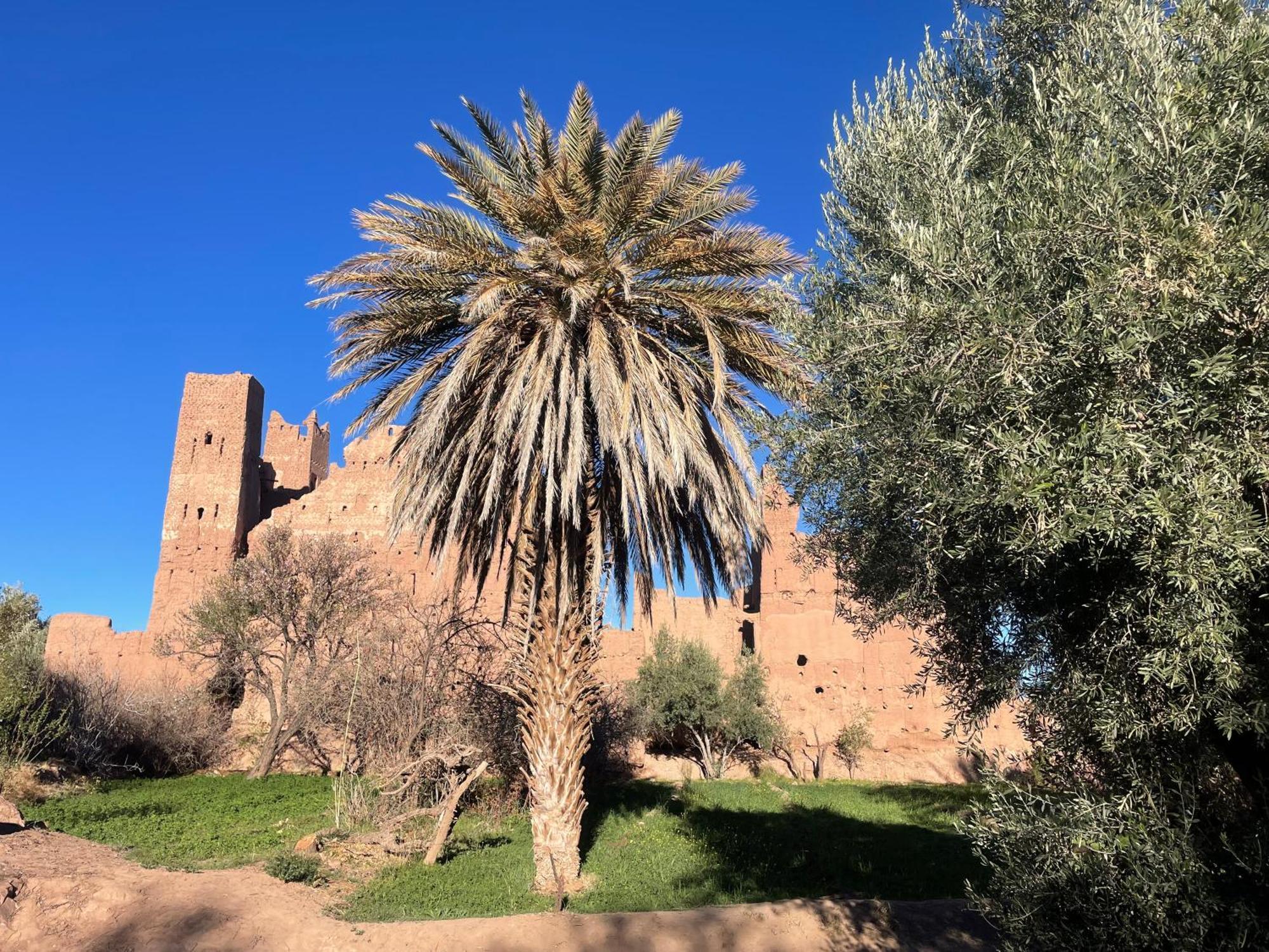 الكيلا دي مجونة Maroc Des Merveilles - Chez L'Habitant المظهر الخارجي الصورة